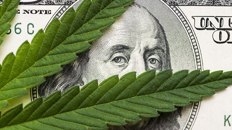 Money and marijuana.